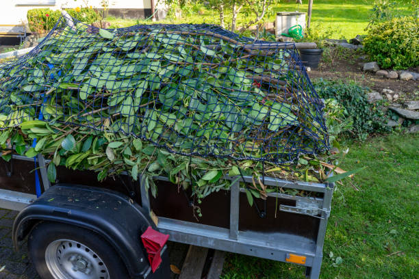 Best Residential Junk Removal  in Northfield, MN